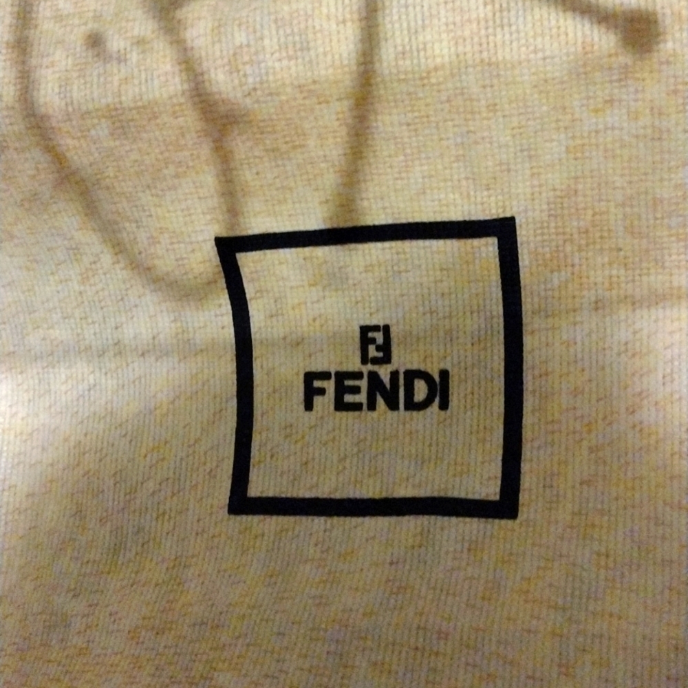 Fendi bag